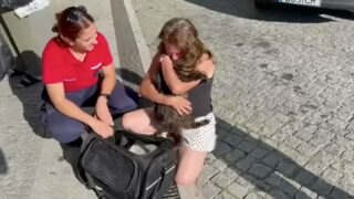 Gato de Braga volta a casa após três anos desaparecido na Bélgica