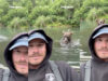 Guia de pesca reage com uma calma impressionante ao ficar com um urso-pardo mesmo atrás de si