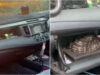 Homem é surpreendido por píton de 1,5 metros ao abrir o porta-luvas do carro