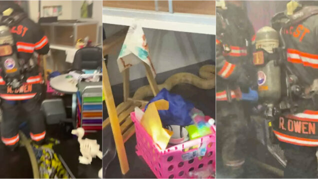 Píton de 2,4 metros foge e provoca incêndio dentro de escola nos EUA
