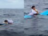 Surfista emociona ao despedir-se no mar do seu inseparável cão que conquistou as redes sociais