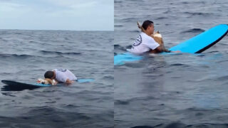 Surfista emociona ao despedir-se no mar do seu inseparável cão que conquistou as redes sociais