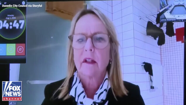 Vereadora entra em reunião da Câmara a partir da casa de banho e reage com total naturalidade