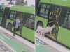 cabras-entram-de-forma-inesperada-num-autocarro-nos-eua