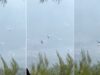 choque-entre-helicopteros-durante-combate-aos-incendios-na-grecia-fica-registado