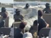 hipopotamo-persegue-barco-cheio-de-turistas-e-provoca-momentos-de-panico-no-bots