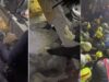 mulher-e-resgatada-com-vida-apos-passar-36-horas-soterrada-nos-escombros-na-colo