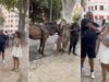 turista-alema-e-atacada-em-maiorca-apos-pedir-agua-para-cavalo