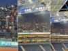 fc-porto-toca-doidas-andam-as-galinhas-no-estadio-do-dragao-apos-vitoria-por-3-1