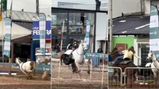 menina-de-12-anos-trava-cavalo-em-fuga-depois-de-varias-tentativas-falhadas-por-1-1