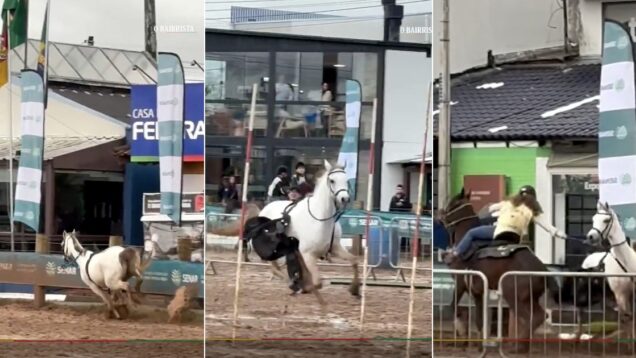 menina-de-12-anos-trava-cavalo-em-fuga-depois-de-varias-tentativas-falhadas-por-1-1