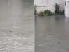 tempestade-inunda-ruas-de-nova-jersia-e-tubarao-surge-a-nadar-no-meio-da-agua