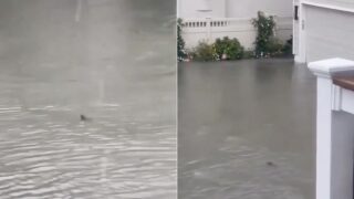 tempestade-inunda-ruas-de-nova-jersia-e-tubarao-surge-a-nadar-no-meio-da-agua