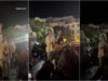 Carolina Deslandes canta «A Gente Vai Continuar» com coro da multidão no Rossio