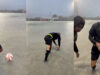 Chuva transforma relvado numa piscina e árbitro protagoniza momento insólito