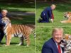 donald-trump-partilha-video-gerado-por-ia-sobre-homem-morto-por-tigre-em-zoo-e-r