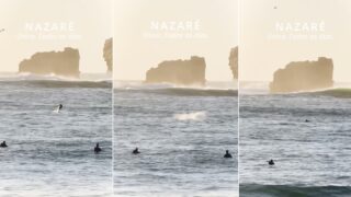 golfinho-realiza-saltos-acrobaticos-e-da-espetaculo-ao-largo-da-nazare
