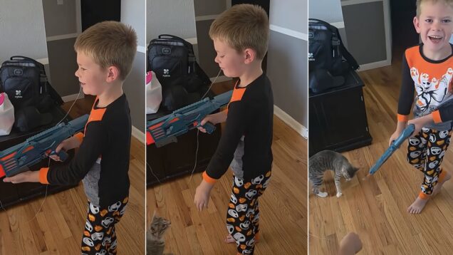 menino-prepara-espetaculo-para-tirar-o-dente-mas-e-o-gato-encerra-o-show