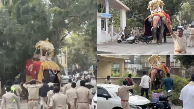 multidao-em-fuga-na-india-depois-de-um-elefante-se-descontrolar-durante-procissa-1